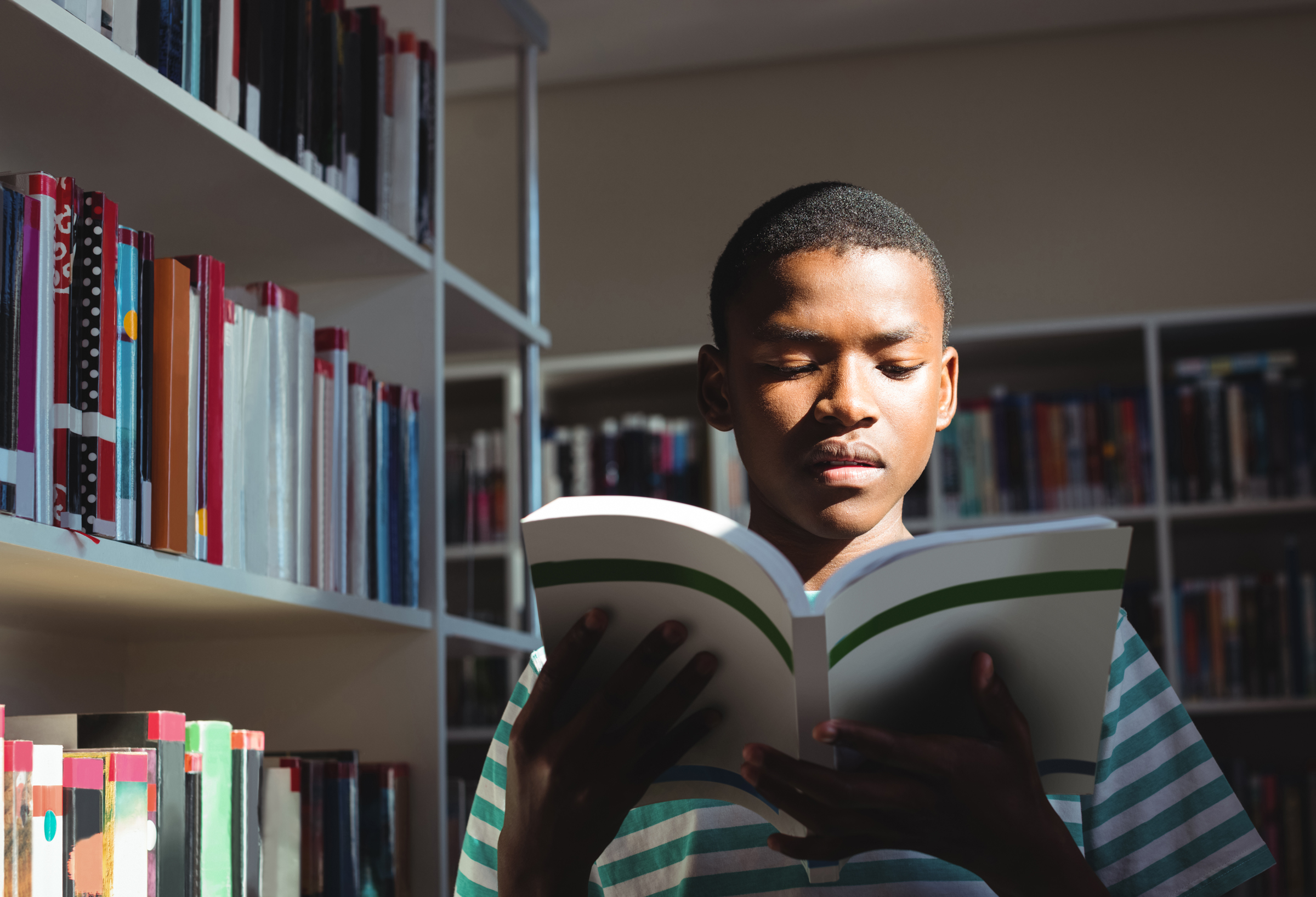 What is a Library?